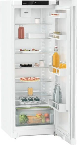 Liebherr Koelkast RD 5000-22 | Vrijstaande koelkasten | Keuken&Koken Koelkasten | 4016803123415