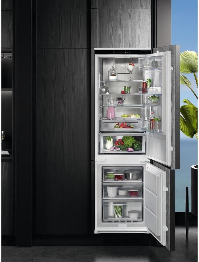 AEG TSC8M181DS 249 l No Frost (koelkast) SN-T 7 5 kg 24u D Wit