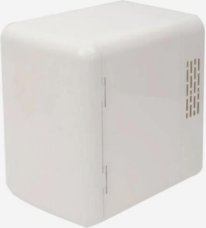 Benson Home Koelkast 12V mini koelkast 4 liter wit