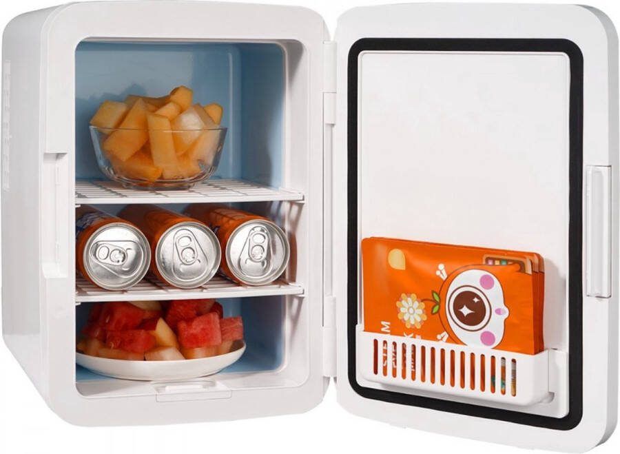 10 L 12 blikjes minikoelkast 2 in 1 kleine koelkast Koel- en verwarmingsfunctie slot Compacte drankkoelkast 9V DC 220V AC voor kantoor en slaapzaal Drank Cosmetisch wit