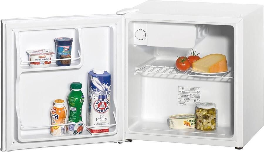 Compacte Koelkast Kleine Koeler Dranken Koelen Automatische Ontdooiing 45 Liter Wit
