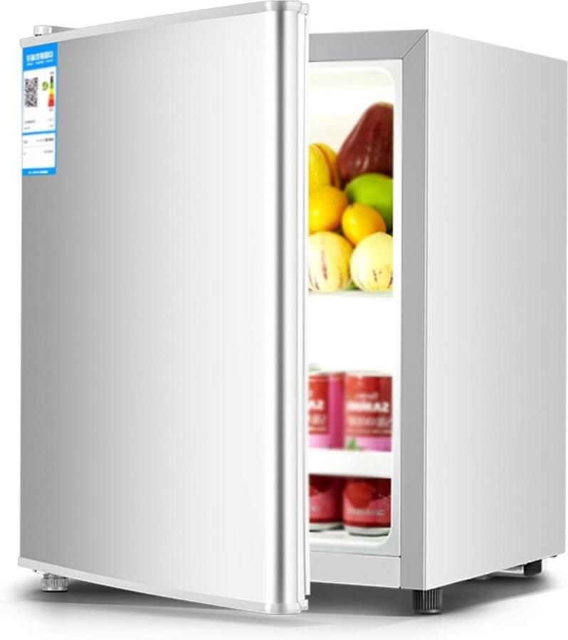 Compacte Koelkast Mini Koelkast Dranken Koelen Energiebesparend 22 Liter Zilver