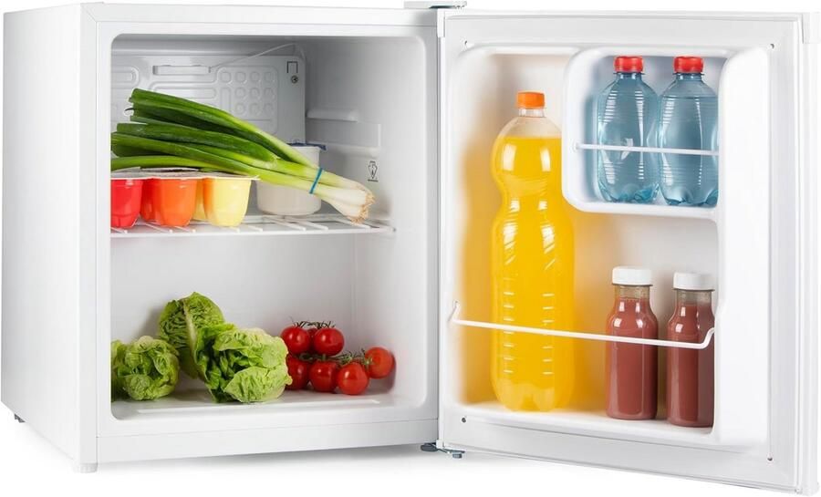 Compacte Mini Koelkast 40L Wit met Verstelbare Thermostaat en Omkeerbare Deur