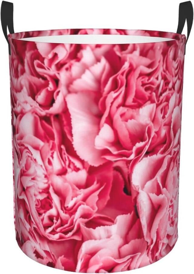 Grote Wasmand Opbergmand Kleding Sorteren Vrijstaand Ontwerp Ovaal Helder Rose