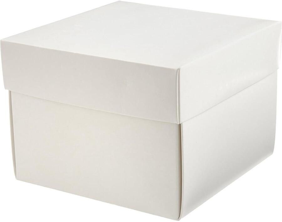 Kryo Storage Box Cryo Box Opslagdoos Monster Opslag Koudbestendig Karton 100 mm Hoog Wit