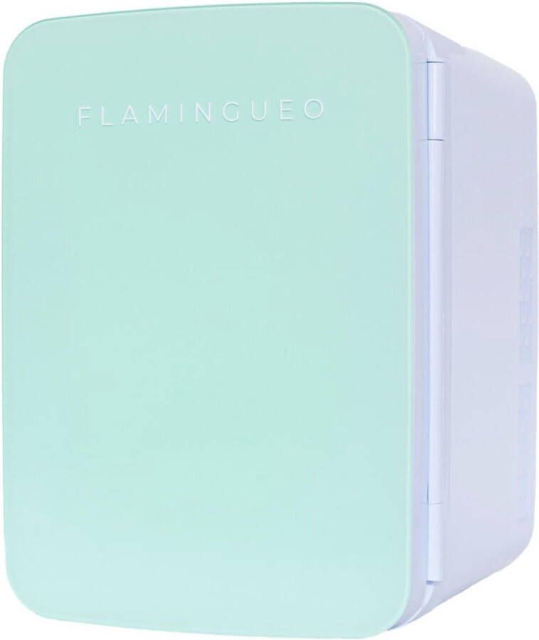 Mini Koelkast 10L Cosmetische Koelkast met Warm en Koud Functie