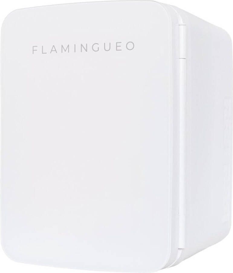 Mini Koelkast 10L Draagbare Koelkast 12V 220V Cosmetica Koelkast met Warm en Koud Functie