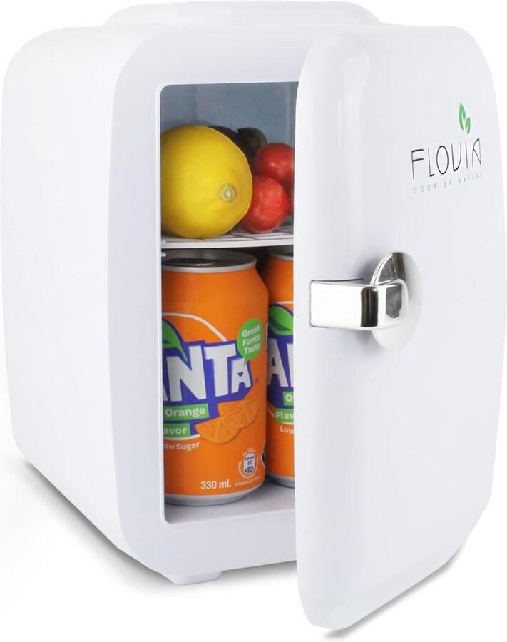 Mini Koelkast 4L 2-in-1 Koelen en Warmhouden 220V 12V Draagbaar Kantoor Slaapkamer Auto Camping