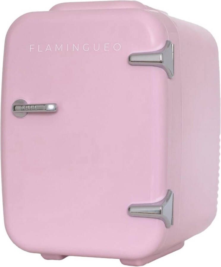 Mini Koelkast 4L Cosmetische Koelkast met Warm en Koud Functie