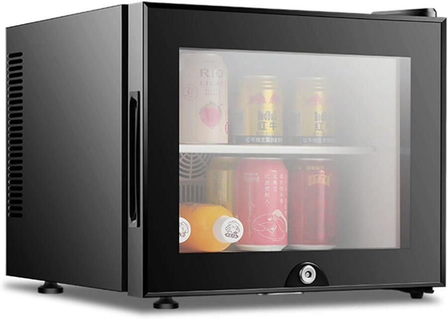 Mini Koelkast Kleine Koeler Dranken Koelen Stille Werking 20L Capaciteit Zilver