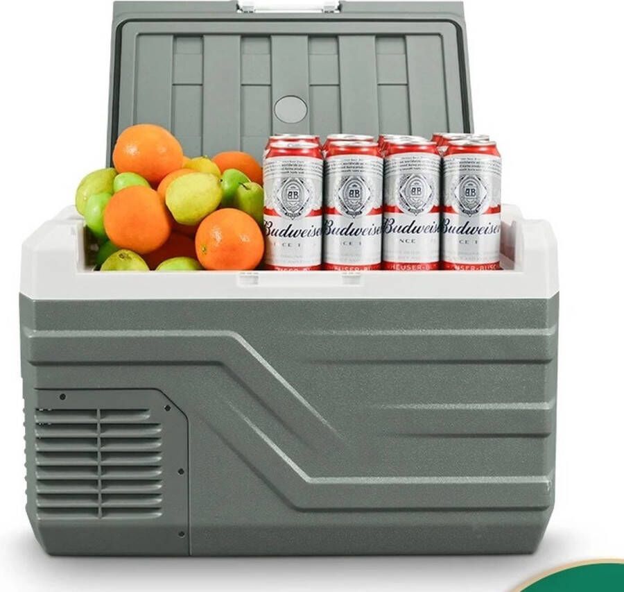 Mini Koelkast Kleine Koelkast Kleine Koelkast Zonder Vriesvak Auto Koelkast 35L 12V Grijs 62x38x45cm