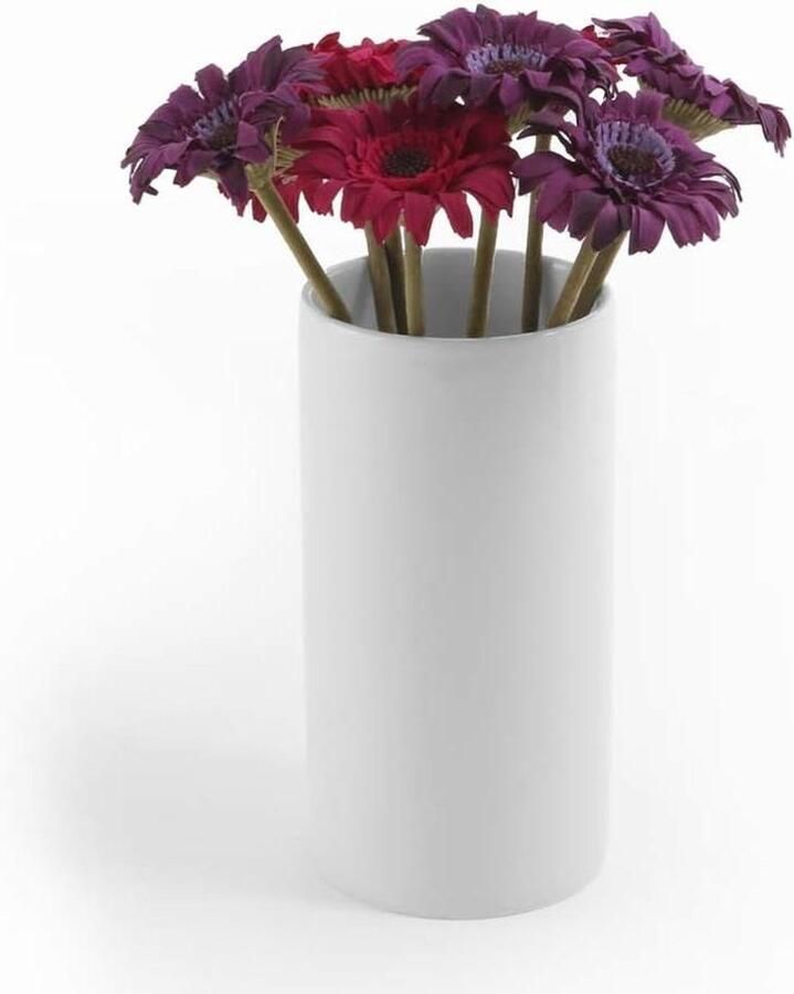 Porseleinen Vaas Keramiek Decoratie Huis Vaatwasserbestendig Hoogte 20 cm Wit
