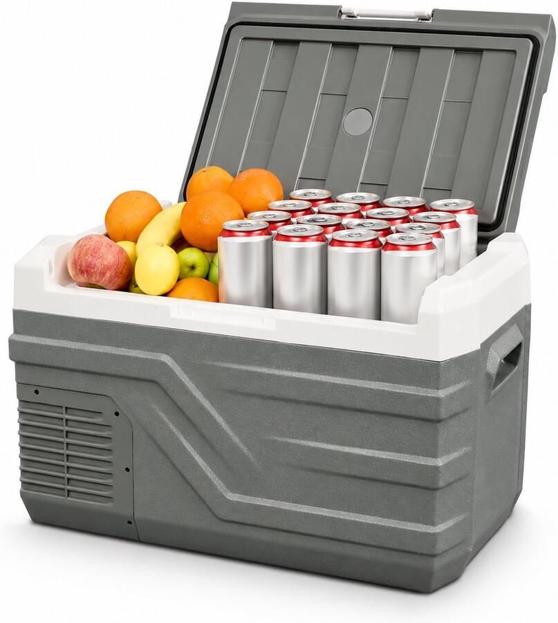 Reky Koelbox Elektrische koelbox Koelkast tafelmodel Auto koelkast Vriezer Compressor Grijs 12V 25L