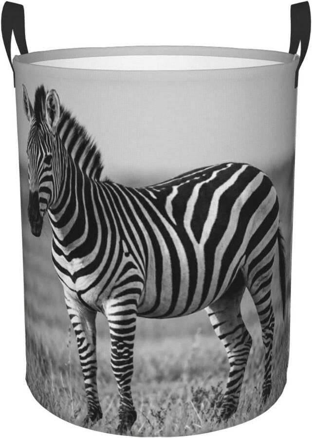Wasmand Kledingmand Opbergmand Kleding Opbergen Waterdicht Oxford Doek 80 Liter Capaciteit Zwart