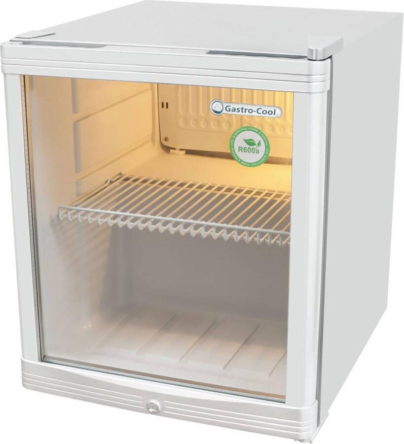 Gastro-Cool KW50 Mini koelkast met glazen deur 46 Liter Zilver Zilver Wit 203400