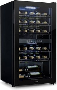 Klarstein Shiraz 29 Duo Wijnkoelkast 80 liter 29 flessen Wijnklimaatkast Panoramische Glazen Deur 42 dB Led-Binnenverlichting