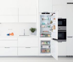 Liebherr ICNf 5103 Pure NoFrost koel-vriescombinatie Ingebouwd 251 l F Wit
