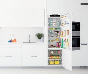 Liebherr IRBe 5120 réfrigérateur Intégré (placement) 294 L E Blanc