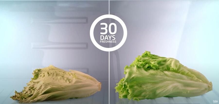 Beko B5RCNE3651HXB HARVESTfresh Selective Line Koel-vriescombinatie Grijs - Foto 4