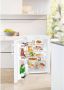 Liebherr Koelkast Tafel TP176023 | Vrijstaande koelkasten | Keuken&Koken Koelkasten | 4016803060093 - Thumbnail 4