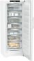 Liebherr Diepvriezer FNC727720 | Diepvrieskasten | Keuken&Koken Vriezers | 4016803056218 - Thumbnail 1