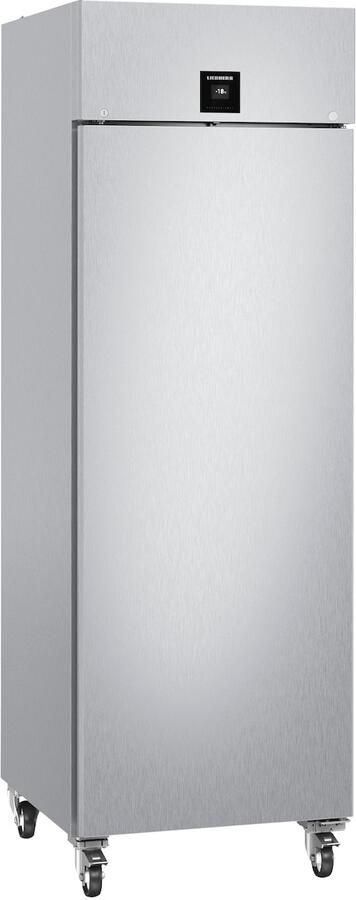 Liebherr FFPSvh 6501-40 Performance Vriezer