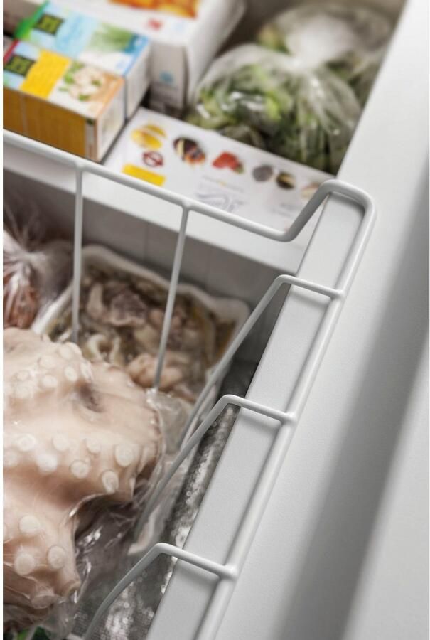 BAUKNECHT Vrieskist - Foto 3