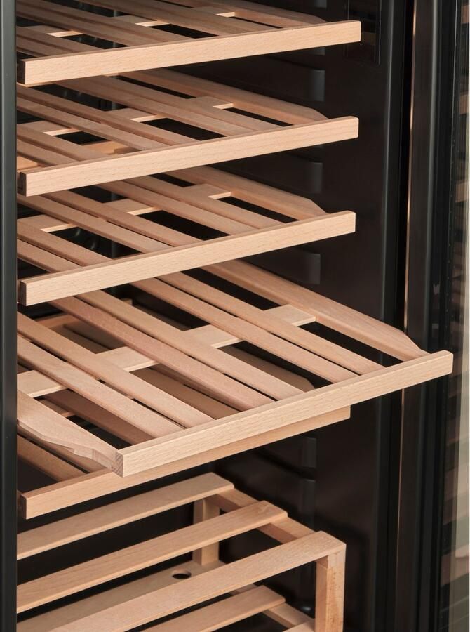 Hanseatic Wijnkoelkast HWC24FCBH-2 - Foto 2