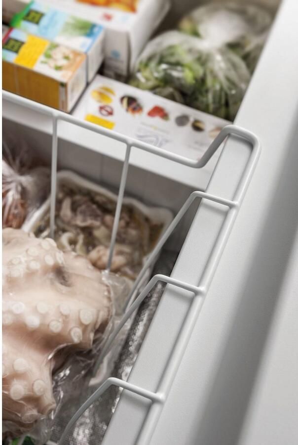 Privileg Vrieskist PFH 606 - Foto 3