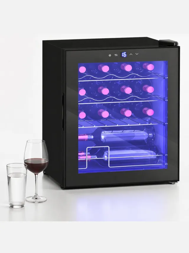 ECTEATOY Wijnklimaatkast - Mini Koelkast -16 Flessen 42L - Minibar met Glazen Deur & Instelbare Temperatuur (5-18°C) - Zwart