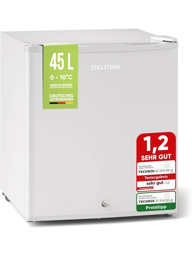 Stillstern Mini Koelkast E 45L met Automatische Ontdooiing, Slot, Vriesvak, stil, ideaal voor keuken, kantoor, slaapkamer, hotels en kleine appartementen Kleine koelkast Minibar Drankkoelkast Zilver [Energieklasse E] Weiss