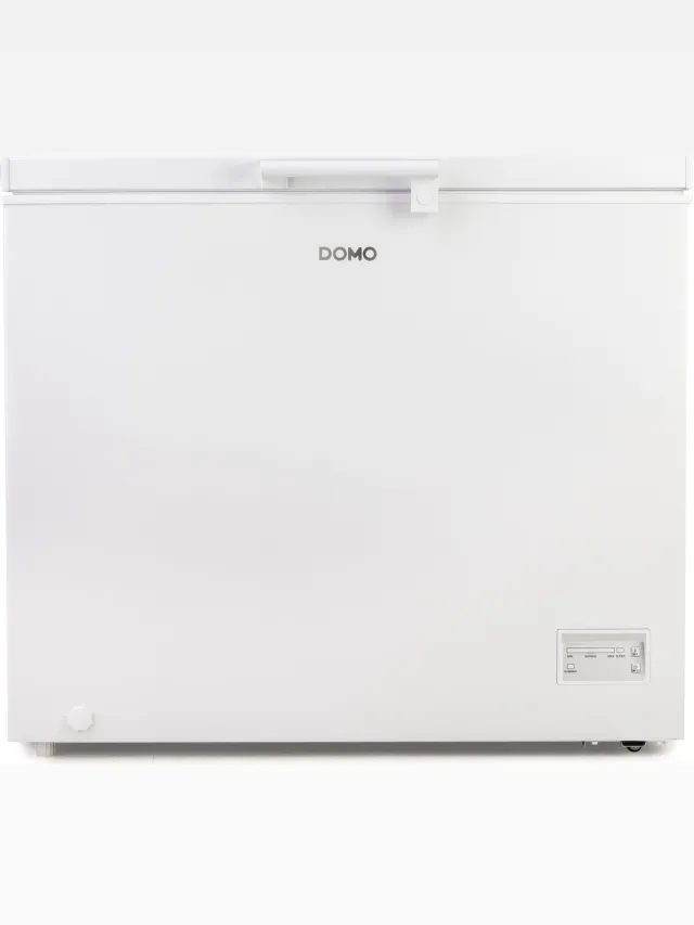 Domo DO91221F diepvrieskist met 246 liter inhoud Wit