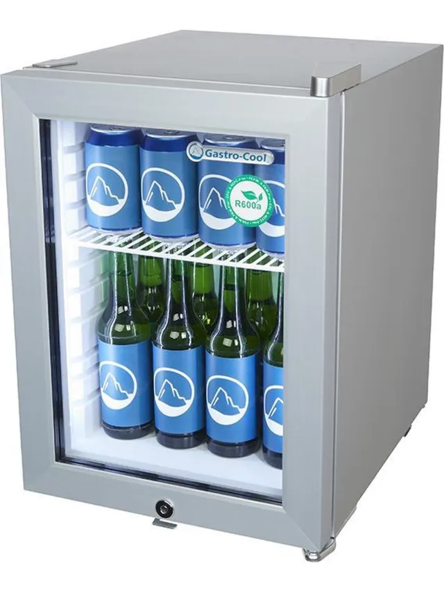 Gastro-Cool KW25 - Mini koelkast met glazen deur 23 Liter - Zilver/Zilver/Wit 247401