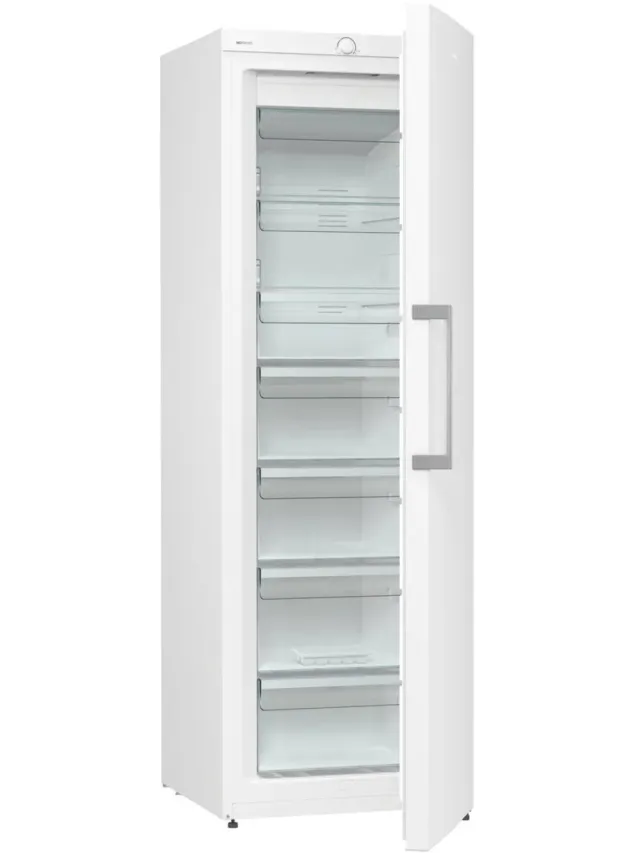 Gorenje FN619EEW5 diepvriezer Vrieskast Vrijstaand 280 l E Wit White