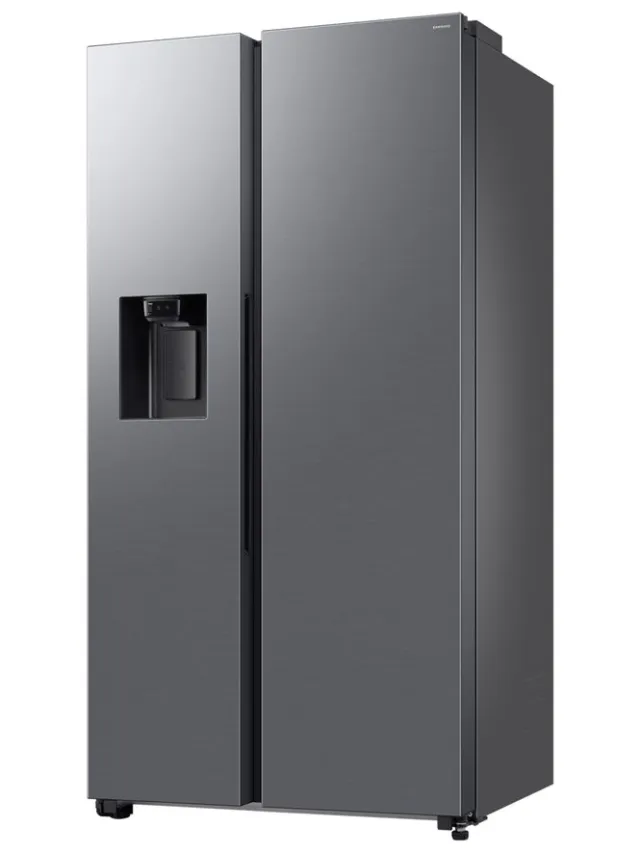 Samsung RS70F66KCTEF Amerikaanse koelkast, 634 liter zilver (mat), foto 2